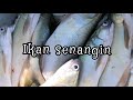 10 jenis ikan sesuai: menu berpantang/bersalin