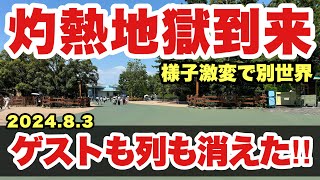 【緊急速報】危険すぎる暑さで入園者激減に！様子が大きく変わった東京ディズニーランド（2024-8-3）