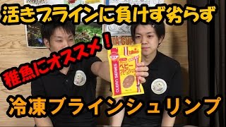 ★商品レビュー★クリーンベビーブラインシュリンプ 【大分グッピーFC】