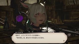 FF14 GRANSEEDS メインクエスト：漆黒のヴィランズ　LV74-3 ラケティカ大森林