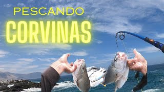 CORVINAS , pesca de corvinas ! tremendo día con Yoyi Gallardo 🎣🐟💪#pesca #fishing #corvina #corvinas