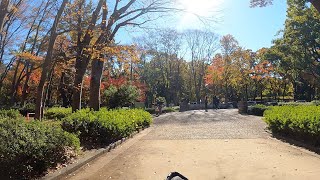 🚲🚲名城公園　秋　名古屋ポタリング🚲🚲