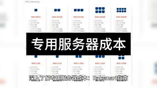 深入了解专用服务器成本：Raksmart指南