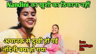 अचानक से दुखी हो गई नंदिनी क्या हो गया || love marriage couple vlogs