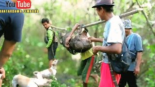 Epic Wild Boar Capture Using Traditional Nets