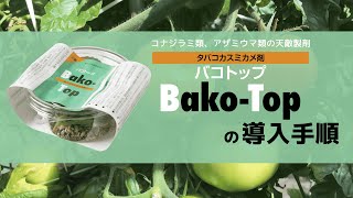 バコトップの導入手順【タバコカスミカメ】【天敵】