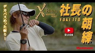 YUKI ITO MEGABASS [社長の朝練1] デカバスめった斬り！！