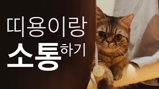 [띠용튜브] 띠용이랑 대화하기