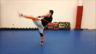 Introducing the Python Striker - MMA Speed Training