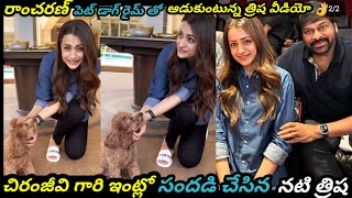 చిరంజీవి గారి ఇంట్లో త్రిష సందడి |trisha playing pet dog rym |PAN CREATIONA #trisha #visvambhara