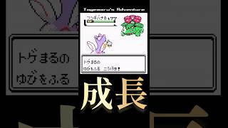 ポケモンクリスタルでウツギ博士のトゲピーをちゃんと育てたやつ