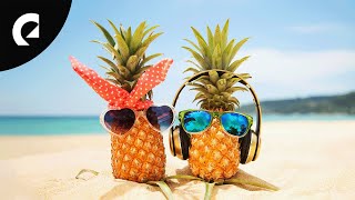 Tropical Pop Music For Partying and Dancing (1 Hour)