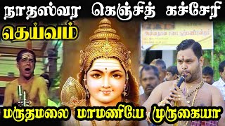 மருதமலை மாமணியே முருகையா | Maruthamalai Mamaniye Murugaiyah | #Kumaran | #Nadhaswaram