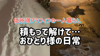 【低所得のアラフィフ一人暮らし】札幌の雪事情/積もったり解けたり/ケンタッキーのギフト/保険一括見積もり/全粒粉ペンネ/スープジャー弁当/節電