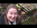 how to age terracotta pots diy aged planter planting tulips in pots u0026 protecting from wildlife