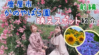 【鹿屋市】かのやばら園の映えスポット紹介‼︎〜前編〜