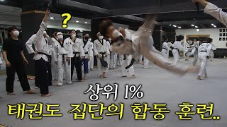 국내 최고의 팀들의 만남 [태권한류\u0026미르메] Joint training with the best Taekwondo teams in Korea.