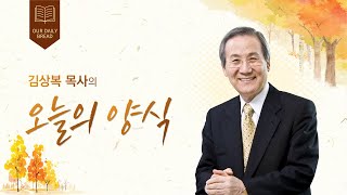 오늘의 양식 (2024-11-26) [하나님과의 협업]