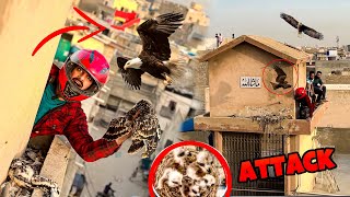 EAGLE ATTACKED ON ME 🤬 | CHEEL K BACHE UTHA LIE 😱 | MISHKAT KHAN