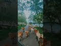 a herd of goats 🐐 ஆட்டு மந்தை hannielnature goat