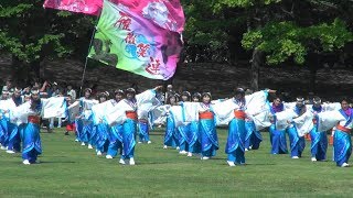 雁微笑連　2018　第16回　あっぱれ富士　2018　芝生会場