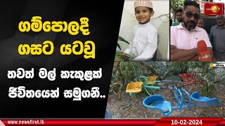 ගම්පොලදී ගසට යටවූ  තවත් මල් කැකුළක් ජීවිතයෙන් සමුගනී..