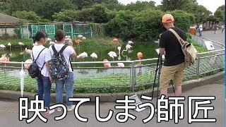 【東武動物公園×けものフレンズ】再び訪れたら視聴者さんと遭遇！？