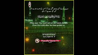 Abdul Rahman Mossad | Beautiful Quran recitation | Peaceful Quran TV | #Shorts