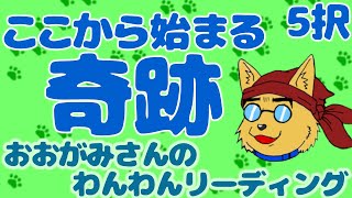 🐶あなたの近くにある輝きを見つけよう！ここから始まる「金運」！おみくじっぽい「５択」リーディング🐶わんこたちに聞く🐶おおがみさんのわんわんリーディング【タロット・オラクルカードリーディング🐶