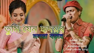 Tumi Jen hridoyor molaya botah, Zubeen Garg best popular song,