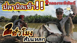 🎣 ep-76 ปลานิลเข้า 2ชั่วโมงสับแหลก หมายเด็ดคลองระพีพัฒน์ 📌ร่มดีมีพิกัด