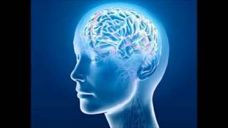 Frontal Lobes - Isochronic Tones - Brainwave Entrainment Meditation