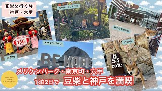 【豆柴と神戸】一泊二日で神戸を満喫/神戸六甲迎賓館に泊まる