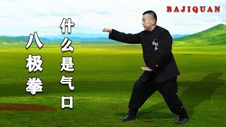 怀疑胡玉涛老师发音是卡痰？八极拳气口揭秘，不说真不知道（Bajiquan）