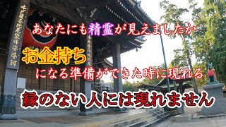 ⚠️この動画が出れば幸せのサイン｜豊川稲荷｜愛知県｜遠隔参拝#23 |  #遠隔参拝 #shrine #japantravel #japantrip #金運 #三大稲荷