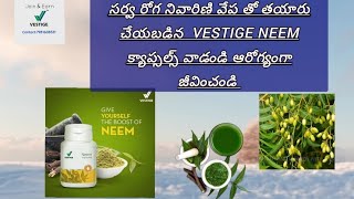 సర్వ రోగ నివారిణి వేప తో తయారు చేయబడిన  Vestige Neem Capsules వాడండి ఆరోగ్యంగా  జీవించండి