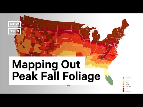 Map shows forecast of peak foliage in the United States