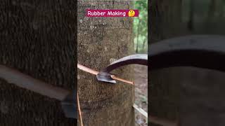 Rubber making process #lifestyle