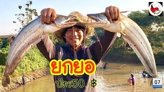 ยกยอ น้ำอิงสันป่าพาด ►Fishing lifestyle Ep.234