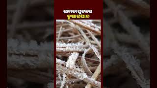 ହାଡ଼ଭଙ୍ଗା ଶୀତରେ ଥରୁଛି କୋରାପୁଟ, ଲମତାପୁଟରେ ତୁଷାରପାତ || KNews Odisha