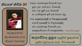 නිවනේ නිවීම 30 - කලහවිවාද සූත්‍රය |ප්‍රඥාවෙන් යුක්ත පුද්ගලයාගේ හිස් බැලම| නාමය රූපය - පටිඝය රූප සඥාව