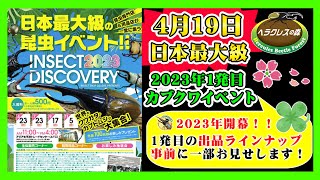 【2023年初陣】4月23日（日）開催の日本最大級のカブクワイベント【インセクトディスカバリー】に参戦！ご提供する生体をちょっとお見せします！