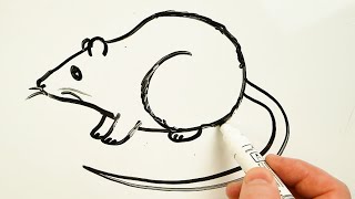 How to Draw a Rat Easy 🐀 Drawing on a Whiteboard