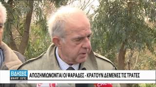 ΗΡΑΚΛΕΙΟ : ΣΕ ΙΣΧΥ Η ΑΠΑΓΟΡΕΥΣΗ ΑΛΙΕΙΑΣ ΚΑΙ ΚΟΛΥΜΒΗΣΗΣ ΛΟΓΩ ΤΩΝ ΕΚΤΕΤΑΜΕΝΩΝ ΖΗΜΙΩΝ ΣΤΟ ΒΙΟΛΟΓΙΚΟ