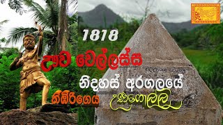 #Wellassa | වර්ෂ 1818 ඌවේ වෙල්ලස්ස නිදහස් අරගලයේ තිඹිරිගෙය || පුරාණ උණගොල්ල විහාරස්ථානය | #Hera | 🇱🇰