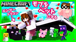 モブをペットにできるマインクラフト😍 エンダードラゴンを手懐けれるのか🤔 Minecraft マイクラ Mob Pet