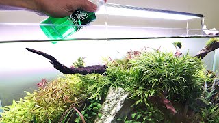How to feed your planted tank with liquid fertiliser!