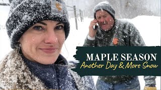 Maple Season: The Storm is Coming