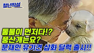 문재인 전 대통령 유기견 삽화 달력 출시?! 파양한 풍산개는? 민주노총 결국 파업 철회!! 첼리스트의 육성 고백까지!! [청년직설]