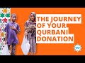 The Journey of Your Qurbani Donation | Embrace Relief
